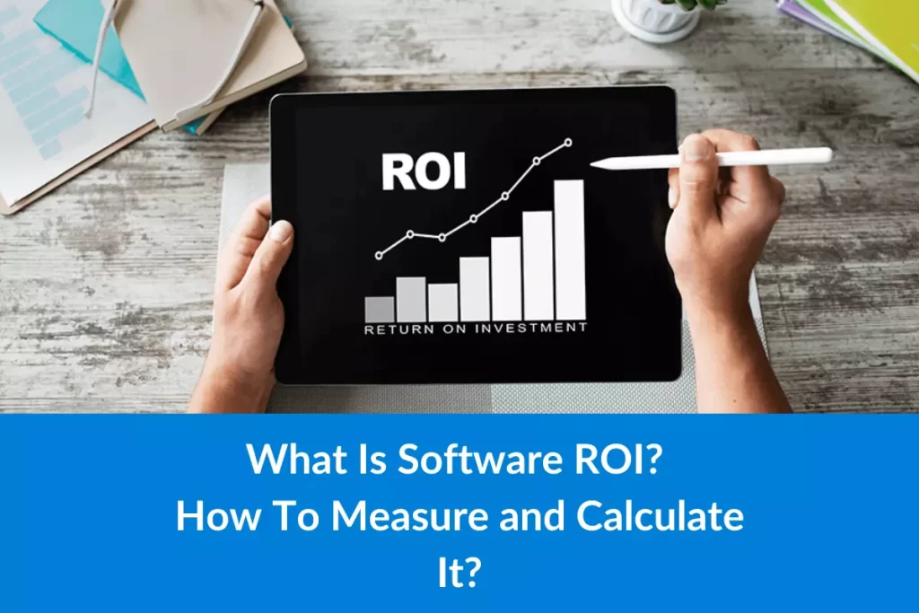 What is Software ROI
