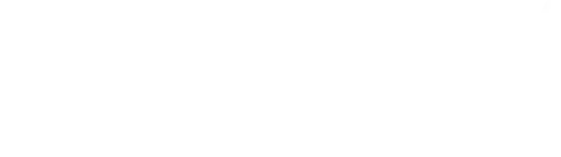 Tier 1 system integrator